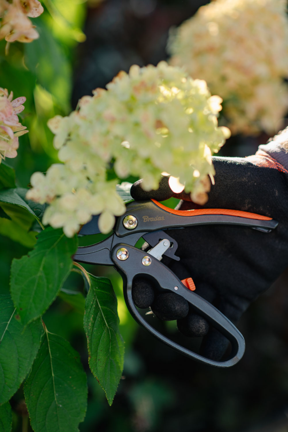 Bradas Gartenschere mit Sicherheitsverriegelung