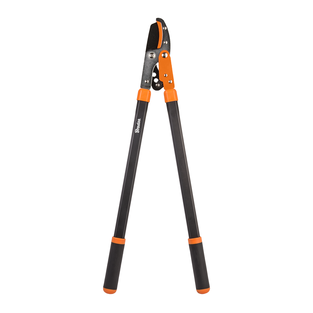 Bradas tandwiel takkenschaar Ø 50 mm