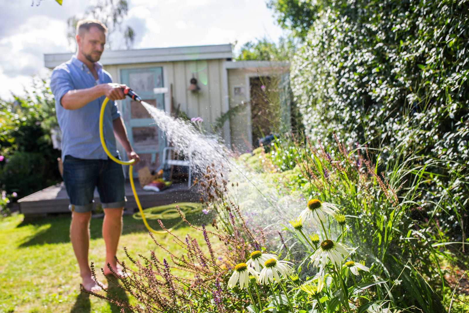 Hoe vaak tuin water geven in de zomer?