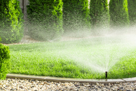 Hoeveel pop-up sproeiers heb je nodig per m² gazon?