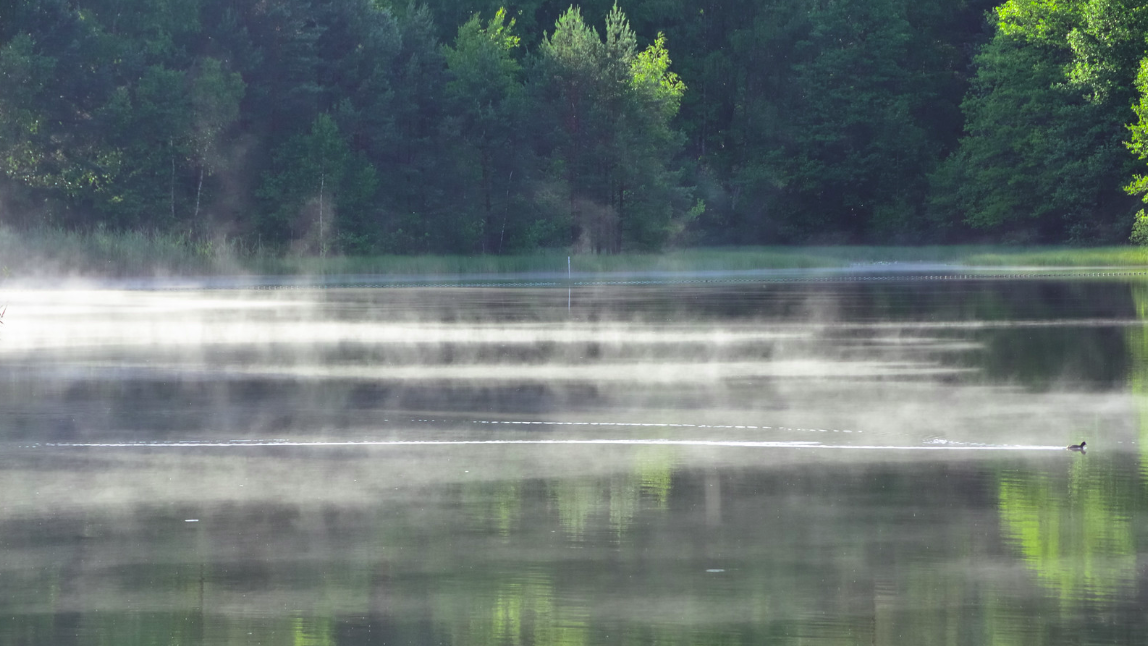 De natuurkunde van verdamping: Waterverlies minimaliseren
