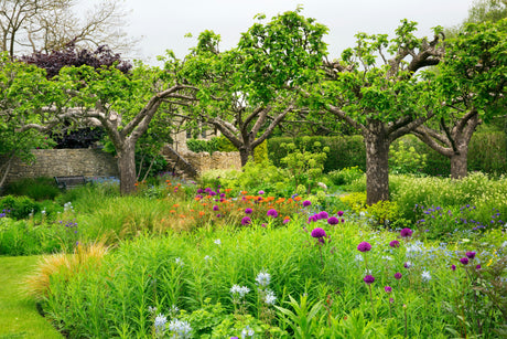 Zo gebruik je een zweetslang voor een gezonde tuin