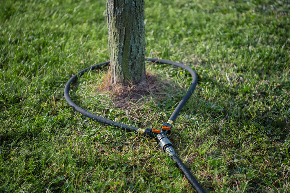 Baum-Tropfer von Bradas