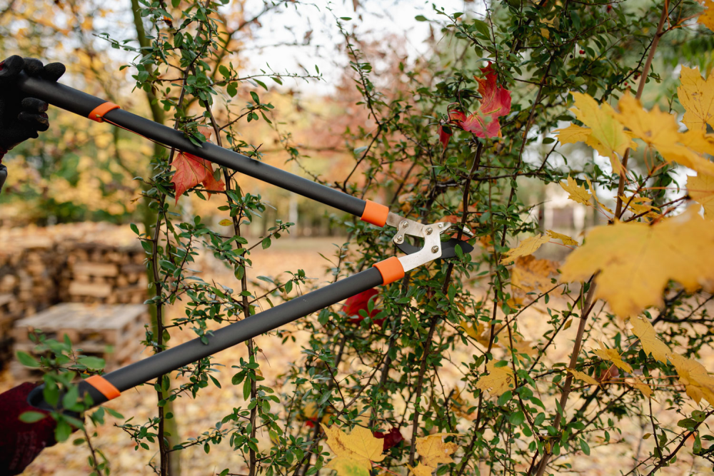 Nahaufnahme des rutschfesten Griffs