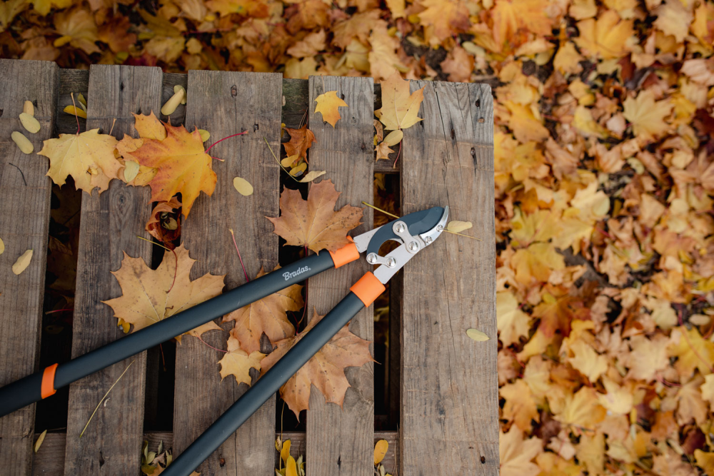 Nahaufnahme der Gartenschere