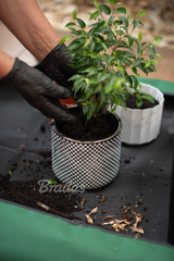 Bradas Umtopfmatte für Pflanzen kompakt zusammengefaltet